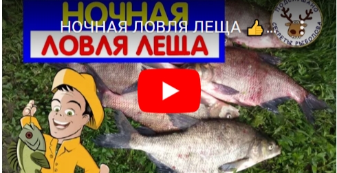 nochnaja-lovlja-leshha-na-volge