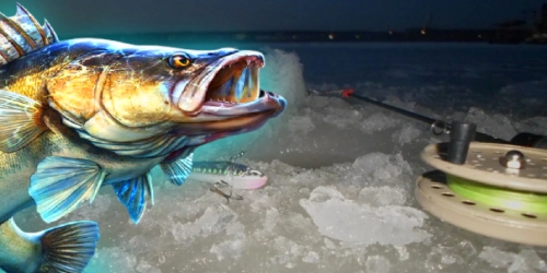 zimnjaja-udochka-na-sudaka