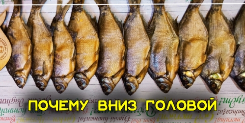 kak-pravilno-sushit-rybu