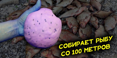 nasadka-dlya-lovli-ryby-kotoroj-ne-nuzhna-prikormka