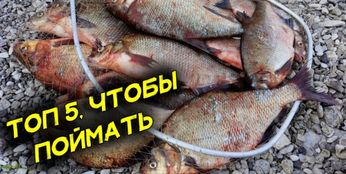 top-5-sekretnyh-fishek-pri-lovle-na-fider