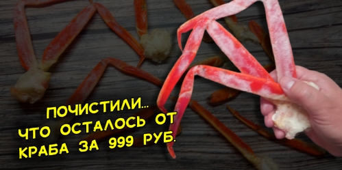 nogi-kraba-za-999-rublej-krab-strigun-kupil-poprobovat