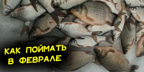lovlya-mirnoj-ryby-v-fevrale