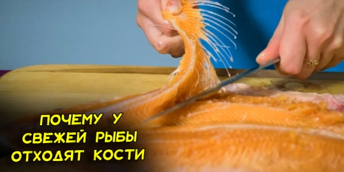 pochemu-u-foreli-othodyat-kosti-ot-myasa