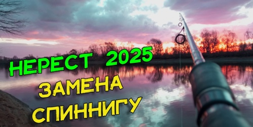 nerestovyj-zapret-2025-goda