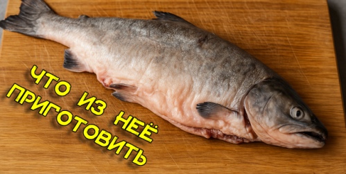 chto-prigotovit-iz-gorbushi