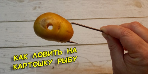 lovlya-ryby-na-kartoshku
