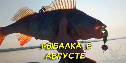 рыбалка в августе